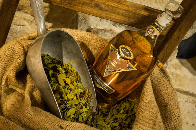 Mistletoe Brandy Gift Basket